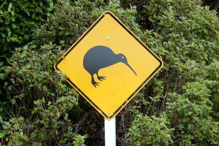 Are .kiwi domains worth their higher cost?