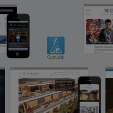 Cactuslab project examples on desktop and mobile.