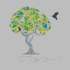 2017 SiteHost t-shirt.