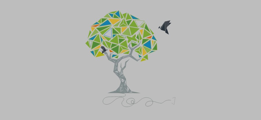 2017 SiteHost t-shirt.