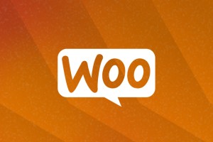 WooCommerce logo.